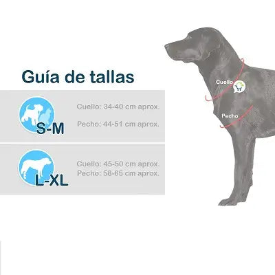 Disfraz Mascotas Chucky Halloween C2002