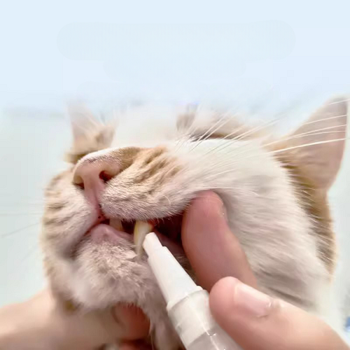 CEPILLO DENTAL NO TOXICO PARA MASCOTAS