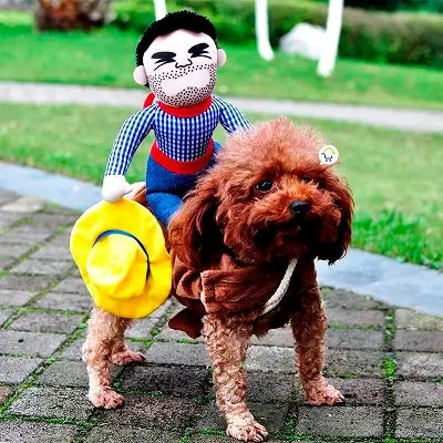 Disfraz Para Mascotas vaquero