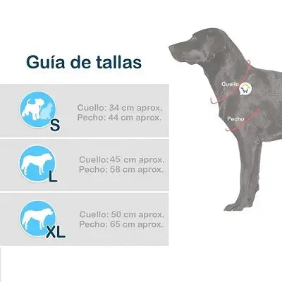 Disfraz Para Mascotas vaquero