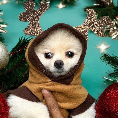 Disfraz Mascotas Traje  Reno