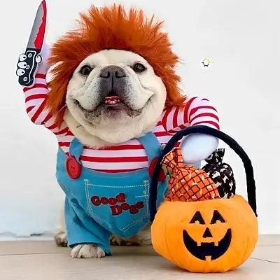 Disfraz Mascotas Chucky Halloween C2002